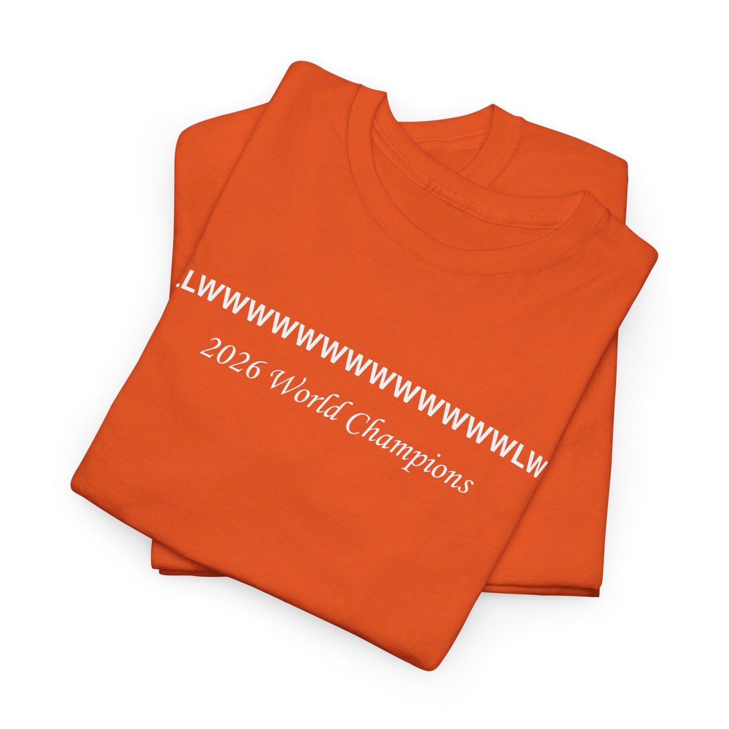 New York 2026 Playoff Record Tee