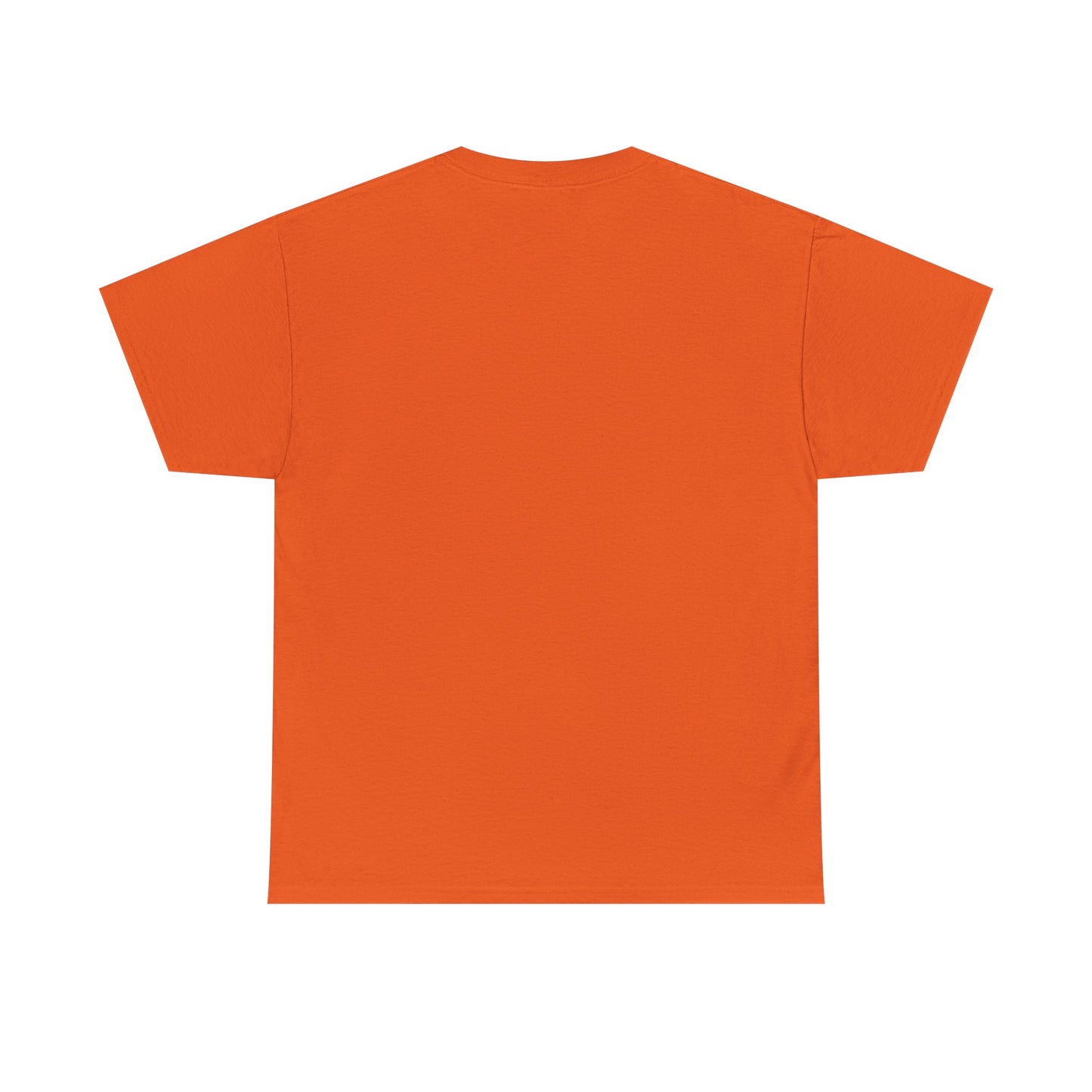 New York vs Everybody Shirt for New York Basketball Fans
