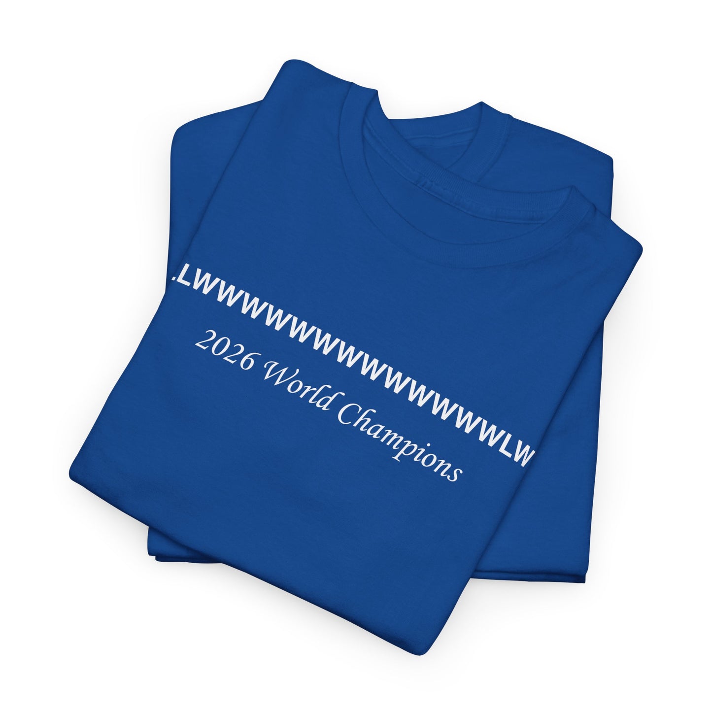 New York 2026 Playoff Record Tee
